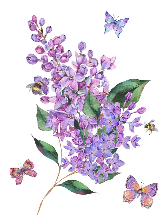 watercolor flowers with butterflies and bee