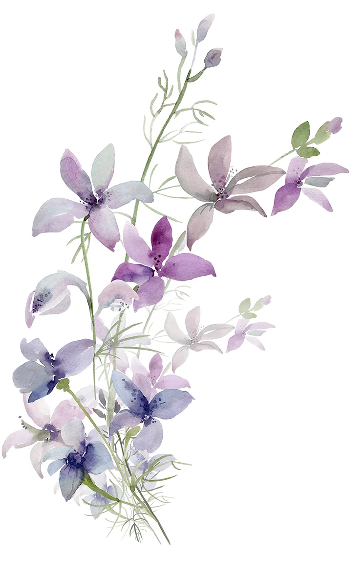 watercolor of star-shaped lavendar flowers