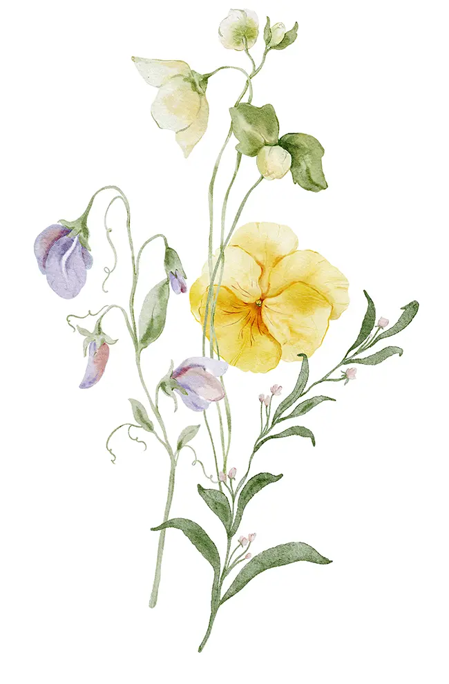 yellow and lavendar watercolor flowers and stems